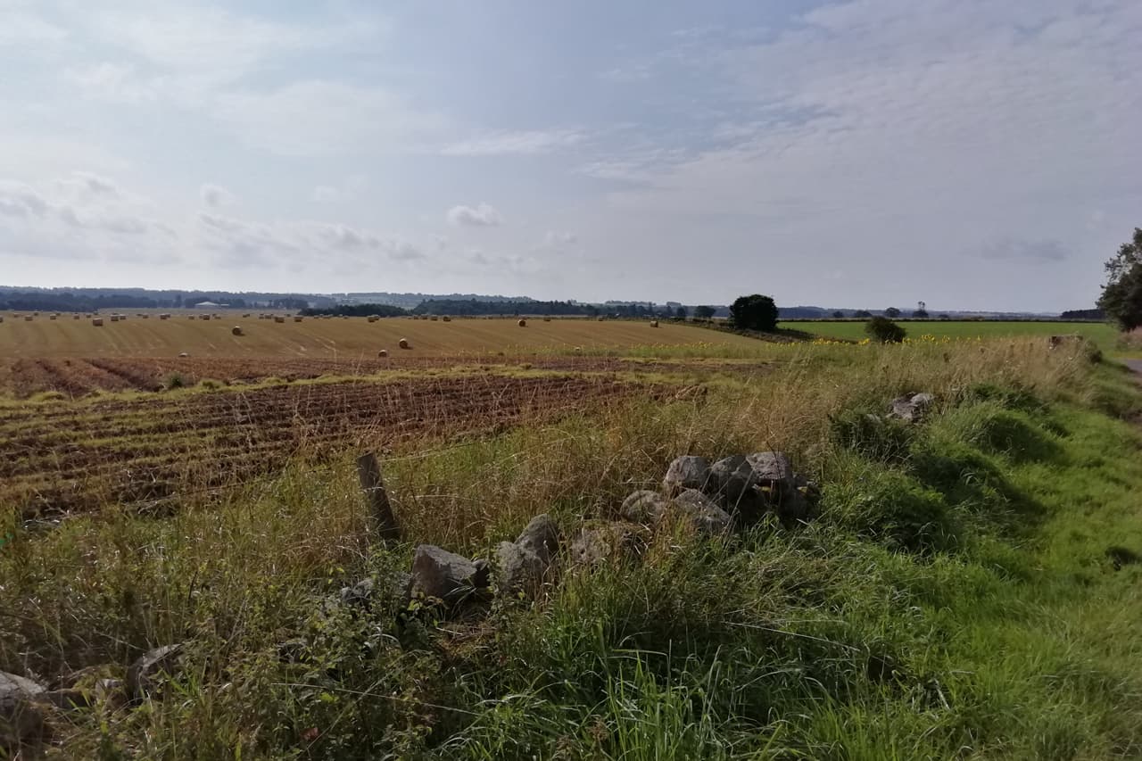 Countryside Field photo 01, near Cedar Holiday Cottage