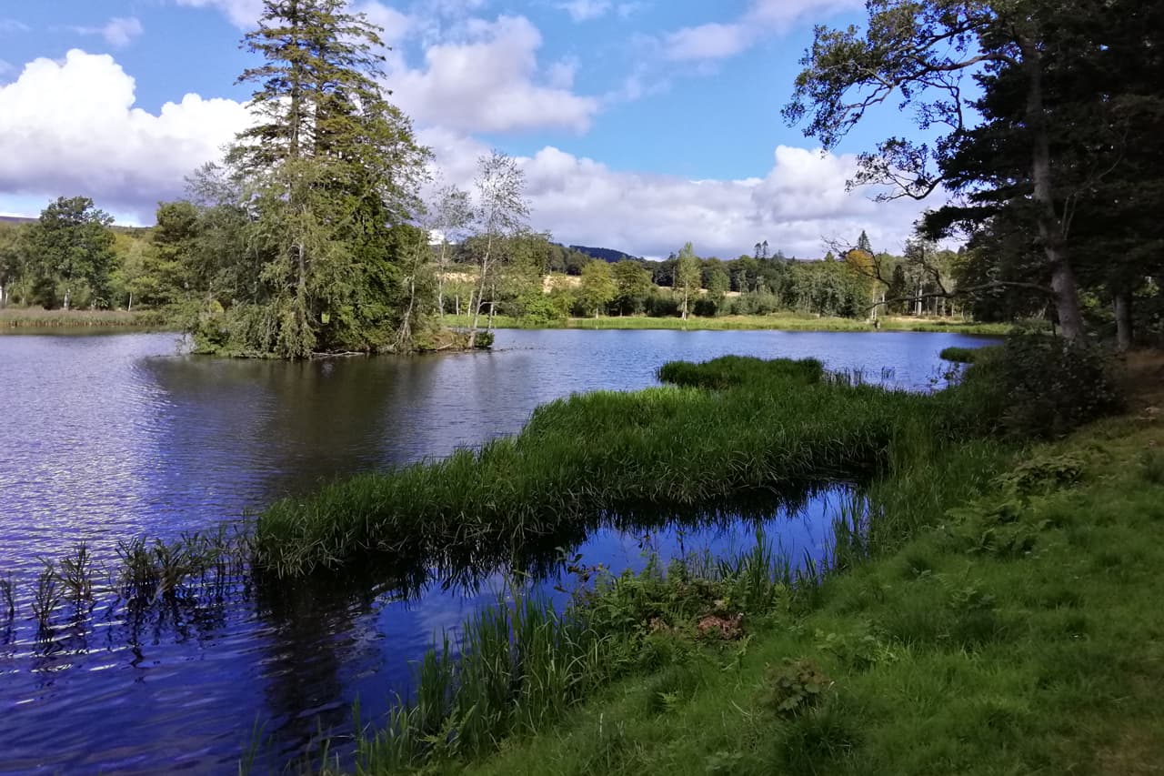 Fasque Loch photo 01, near Cedar Holiday Cottage