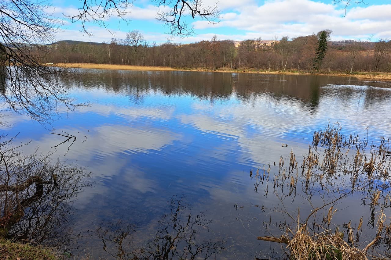 Loch Fasque near Fasque Castle in Fettercairn, Scotland. The loch is very still and the sky is reflected in its surface.