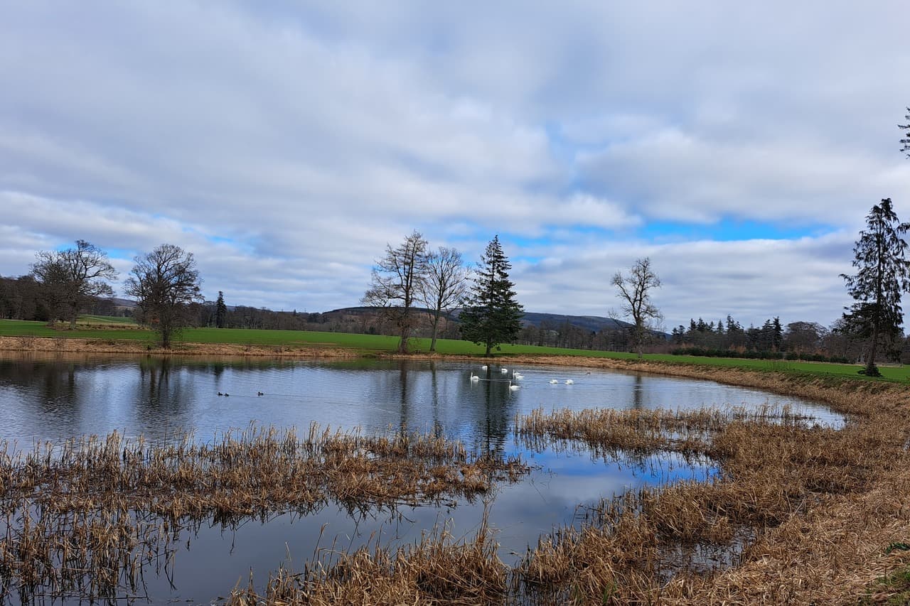 Loch Fasque near Laurencekirk, is a serene and picturesque spot where nature feels untouched by time. The still water reflects the soft grey clouds above. Amongst the gentle ripples, swans glide effortlessly, their white feathers standing out against the dark water.