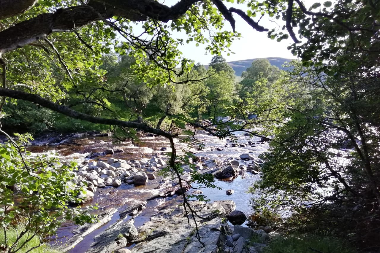 A tranquil Scottish river near Laurencekirk, flowing through lush greenery, with sunlight filtering through the trees and reflecting off the rippling water. Smooth stones and boulders line the riverbed, adding texture to the peaceful scene. Framed by overhanging branches, the image invites a moment of quiet appreciation for Scotland’s natural beauty.