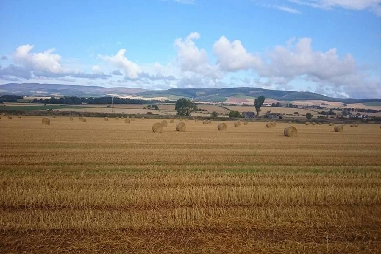 Bails of Straw in a Laurencekirk field with the Cairngorm Mountains in the background.