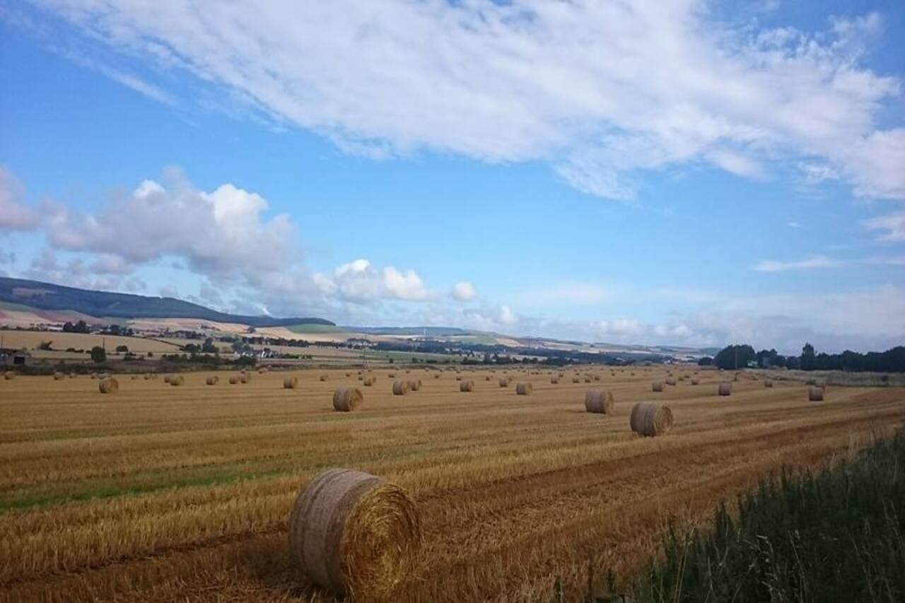 Bails of Straw in a field in the Mearns in Scotland with mountains in the background.